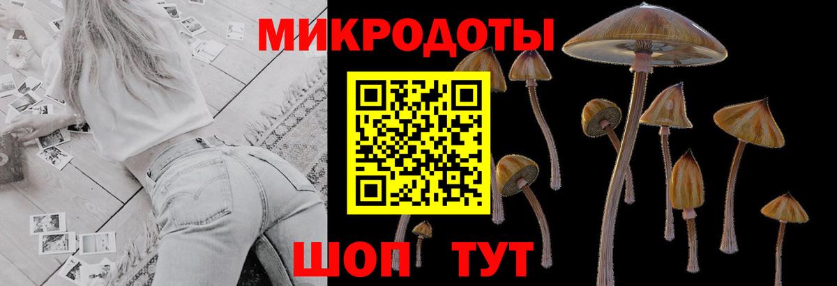 Псилоцибиновые грибы мицелий Коркино